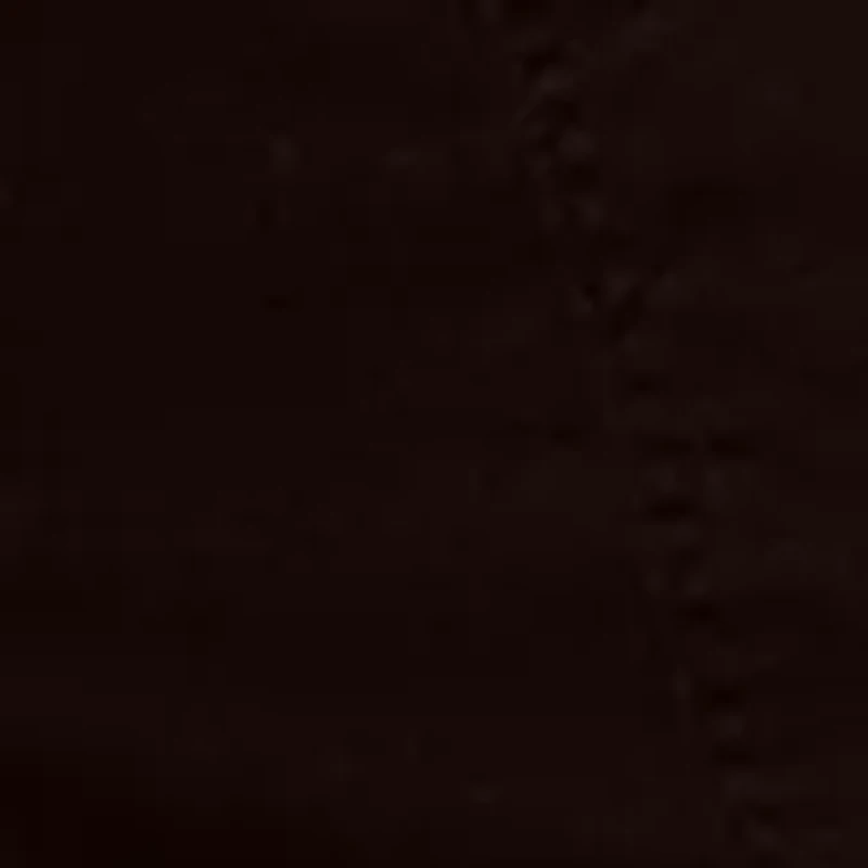 Men's Cotton Stretch 7" Pull-On Shorts