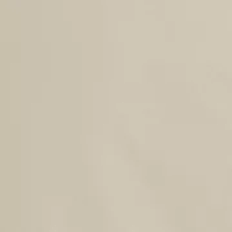 Men's Matte Puffer Jacket