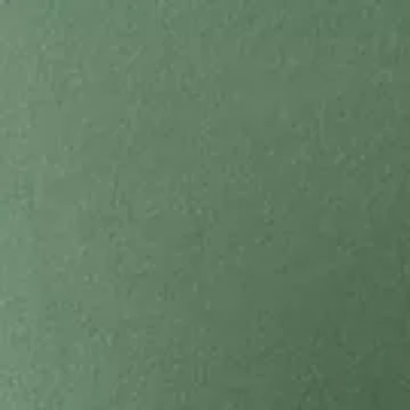 Big & Tall Ben and Terry Half-Zip