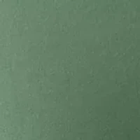 Big & Tall Ben and Terry Half-Zip