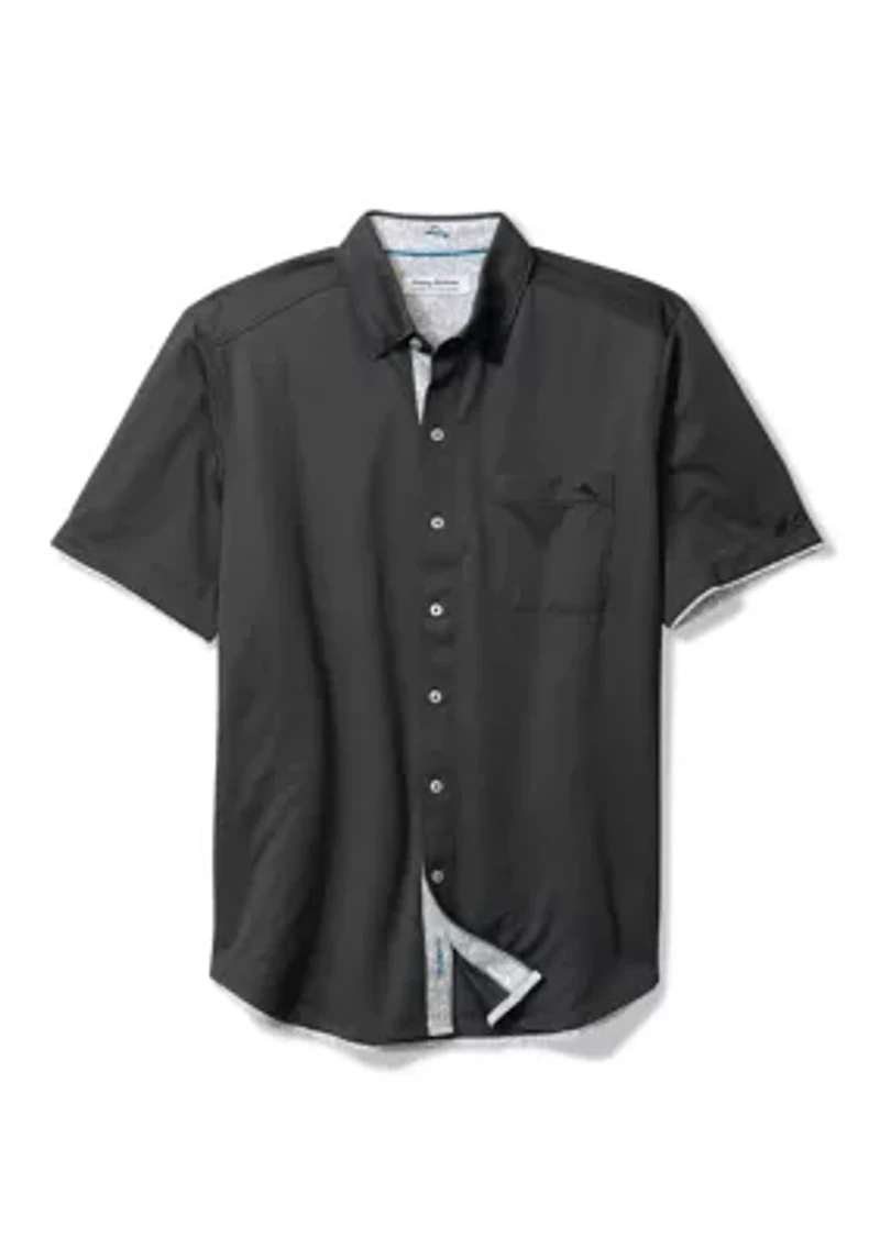 Big & Tall Cotton Polo Shirt