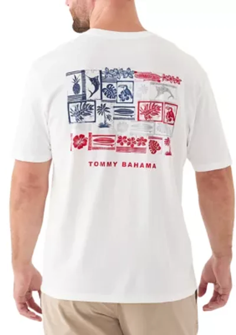 Big & Tall Short Sleeve Americana Boardblock Graphic T-Shirt