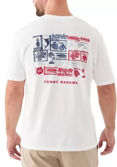 Big & Tall Short Sleeve Americana Boardblock Graphic T-Shirt