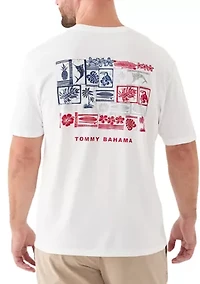 Big & Tall Short Sleeve Americana Boardblock Graphic T-Shirt