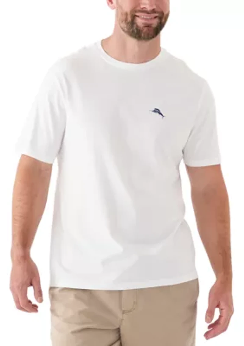 Big & Tall Short Sleeve Americana Boardblock Graphic T-Shirt