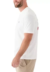 Big & Tall Short Sleeve Americana Boardblock Graphic T-Shirt