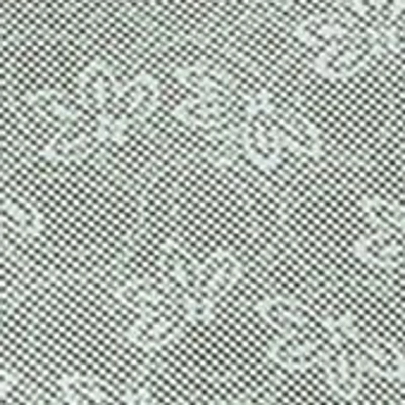 Big & Tall San Lucio Lotus Short Sleeve T-Shirt