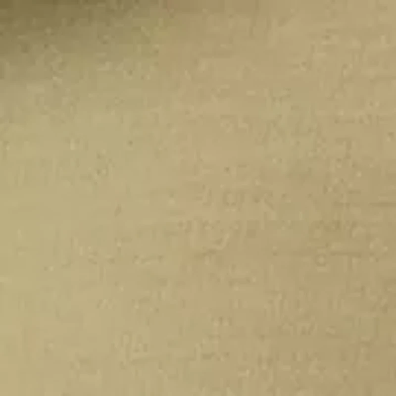 Big & Tall Ben and Terry Shirt Jacket