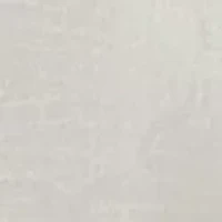 Big & Tall Sips and Stripes Forever Button Down Shirt