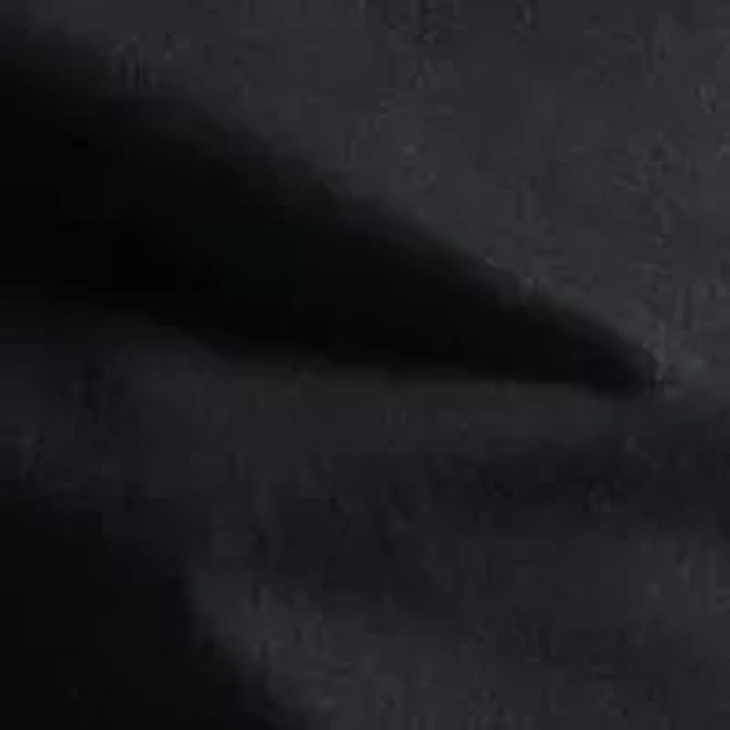 Big & Tall Boracay Shorts