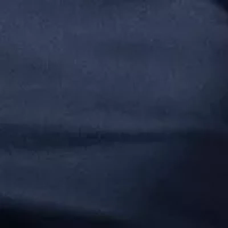 Big & Tall Boracay Shorts