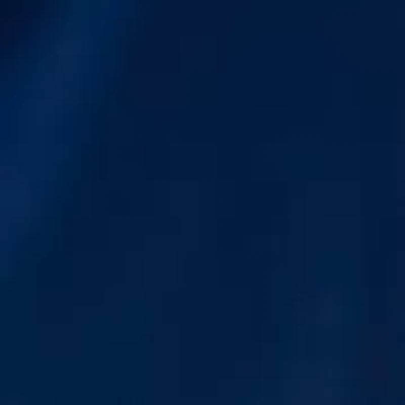 Big & Tall Naples Valley Swim Trunks