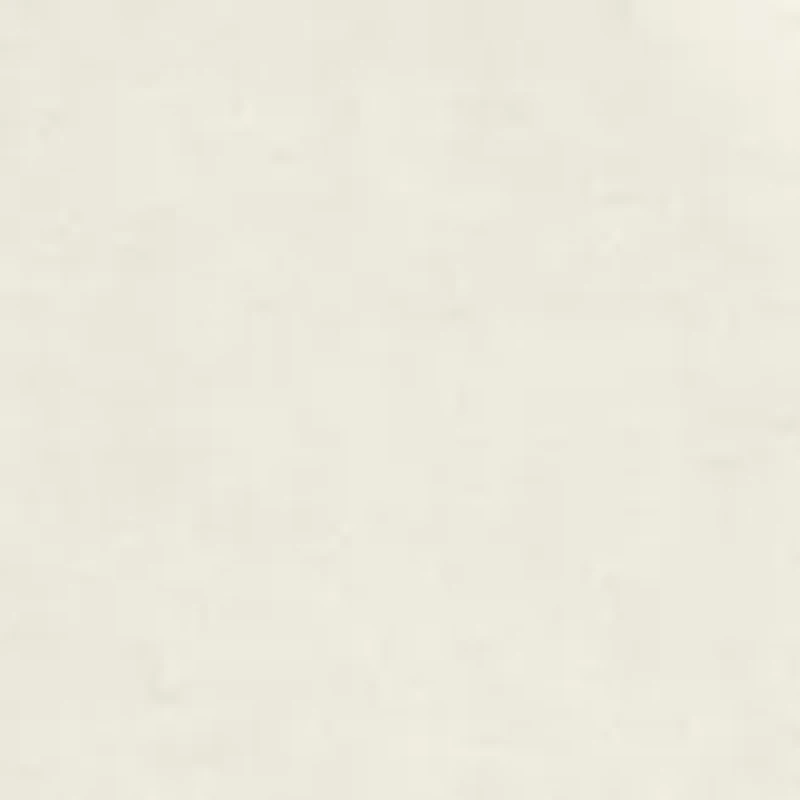 Men's Cabradoodle Graphic T-Shirt