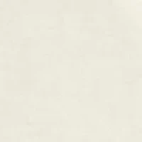 Men's Cabradoodle Graphic T-Shirt