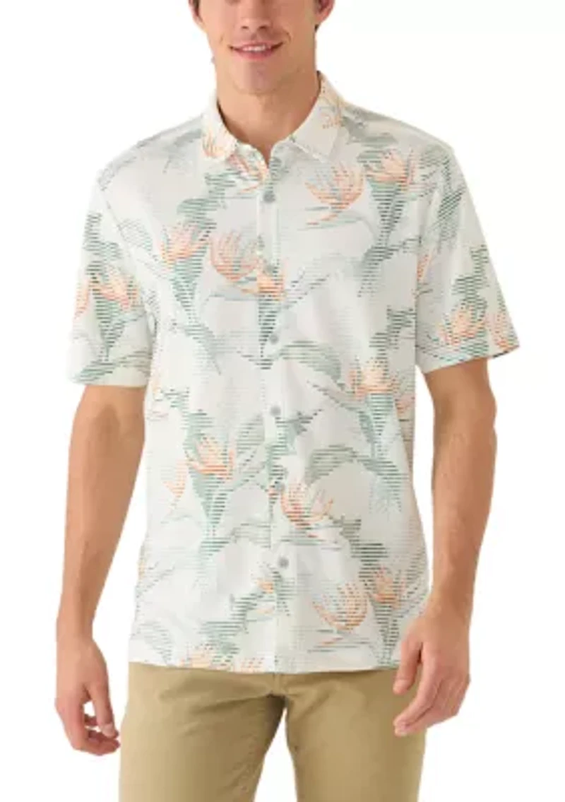 Men's Costa Wave Festa Fronds Short Sleeve Camp Shirt