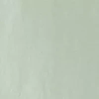 Men's For Your Finformation Graphic T-Shirt