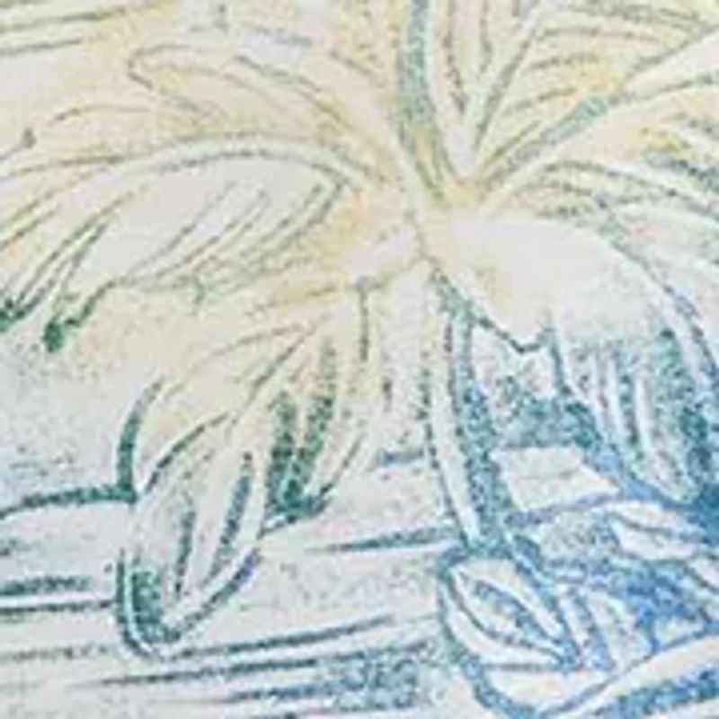 Men's Vera Cruz Cay La Blanca Isle Shirt