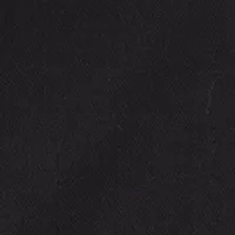 Big & Tall Passport Collection Travel Stretch and Dress Shirt