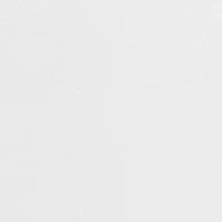 Big & Tall Passport Collection Travel Stretch and Dress Shirt