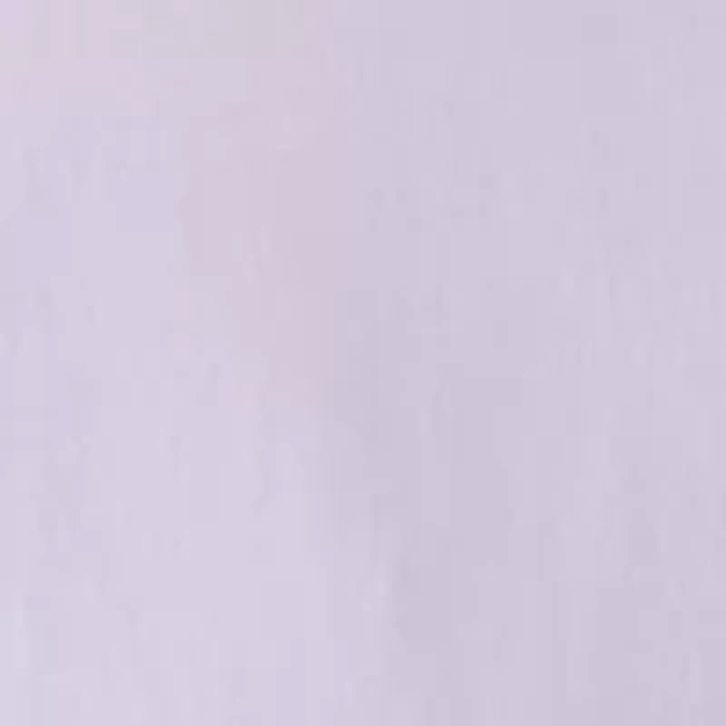 Men's Big Travel Stretch Fit Dress Shirt