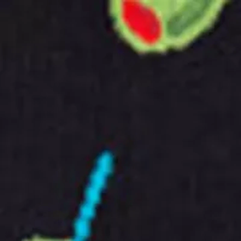 Men's Olives Crew Socks