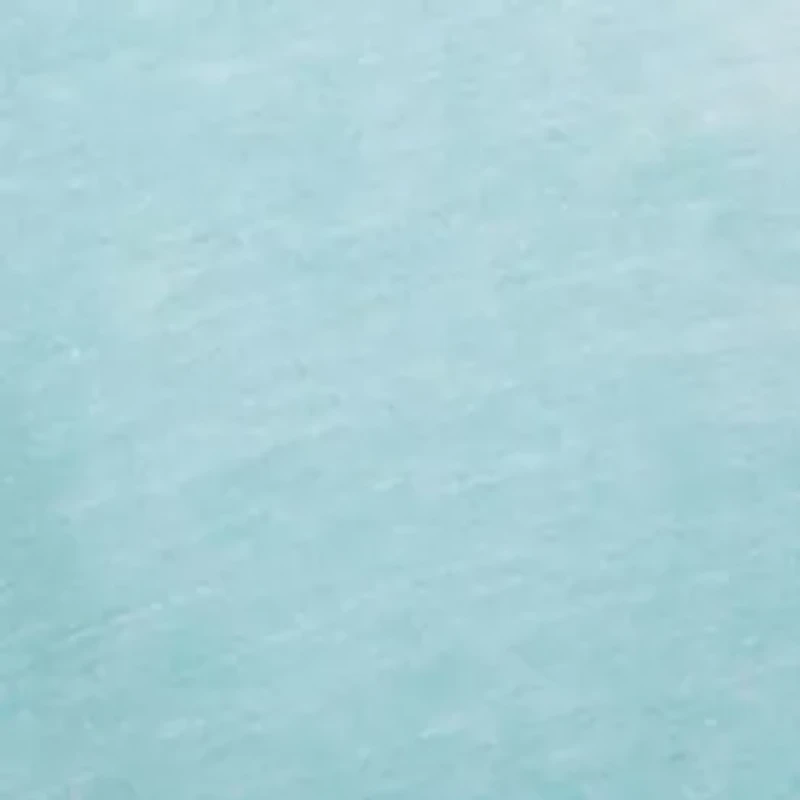 Short Sleeve Burnout Button Notch Shirt