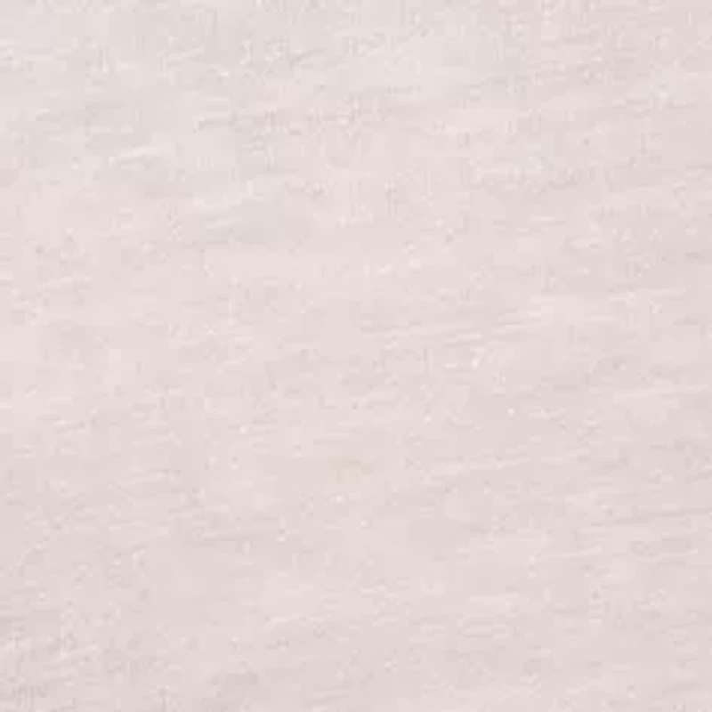 Venice Burnout V-Neck Tee