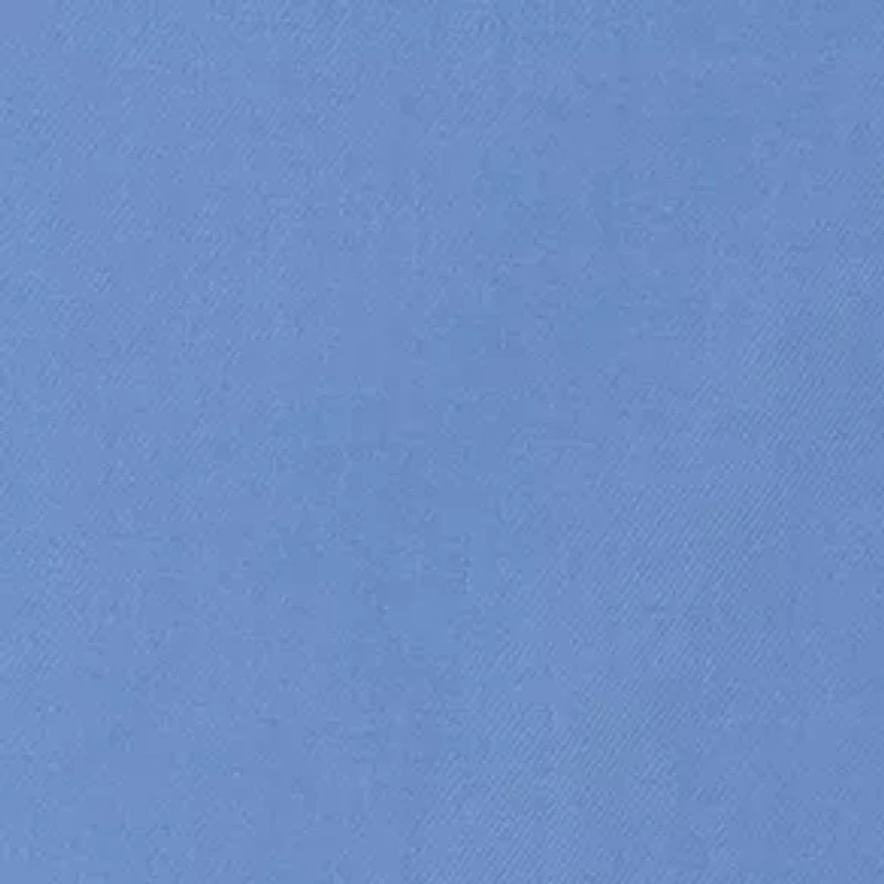 Big & Tall Solid Dress Shirt