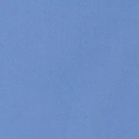 Big & Tall Solid Dress Shirt