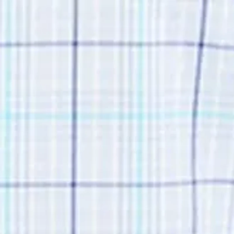 Check Print Long Sleeve Shirt