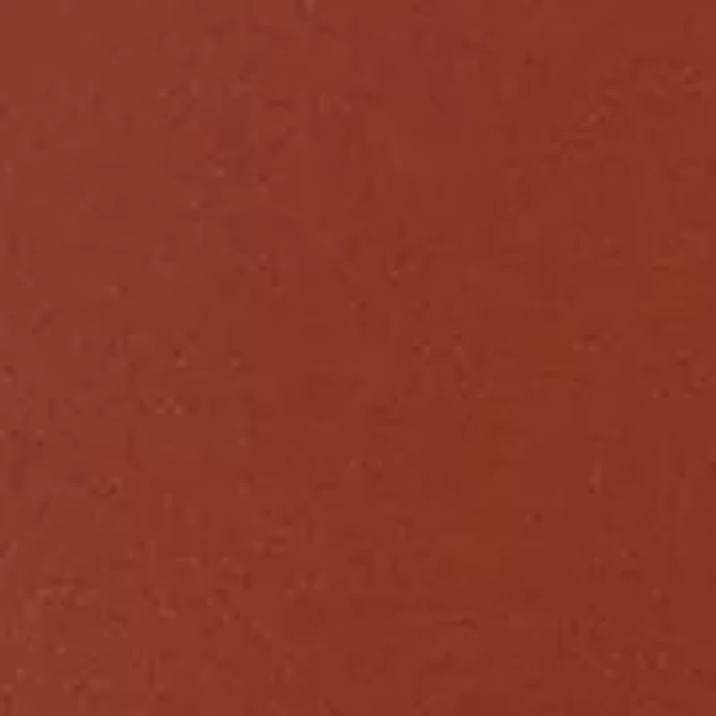 Tailgate Emrboidered Belt