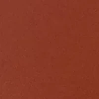 Tailgate Emrboidered Belt