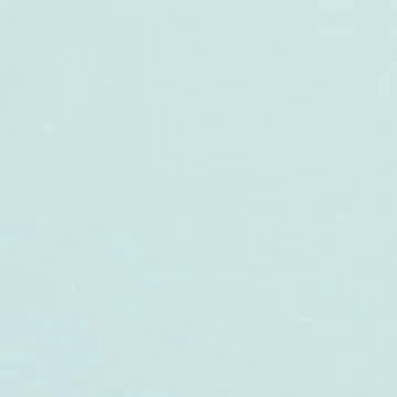 Whale Dot Performance Trucker Hat