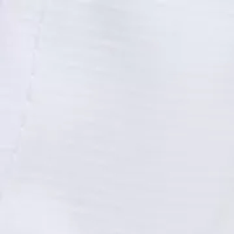 Logo Performance Visor