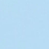 Solid Sankaty Polo Shirt