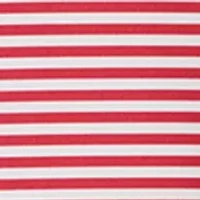 Men's American Flag Polo Shirt