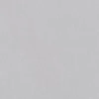 Men's Chilmark Chino Shorts