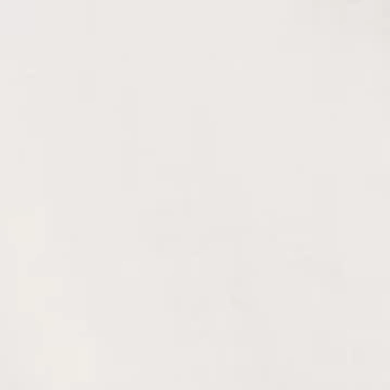 Men's American Flag Logo Box Shep Shirt