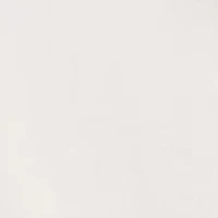 Men's American Flag Logo Box Shep Shirt