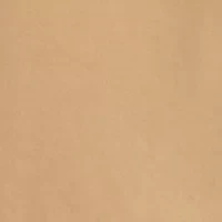 Men's On the Go Canvas 5 Pocket Pants