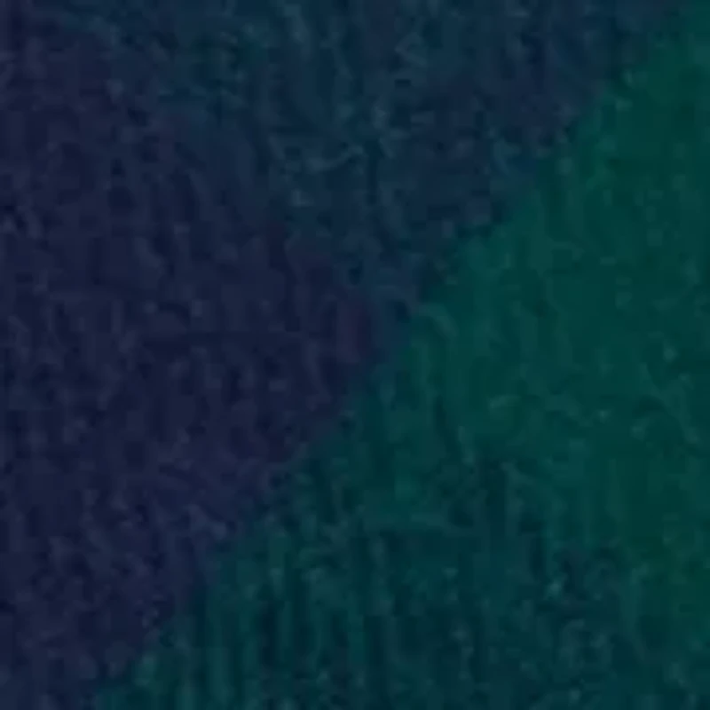 Printed Cotton Flannel Bow Tie 