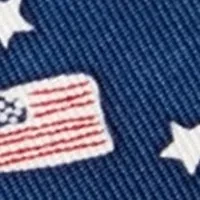 Flags and Stars Printed Tie