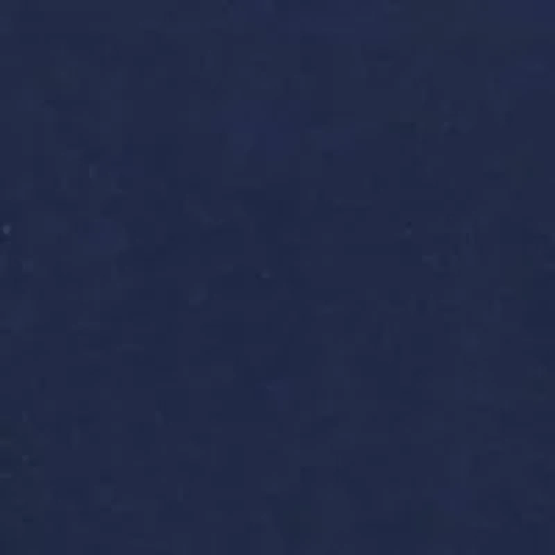 Whale American Flag Graphic T-Shirt