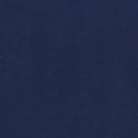 Whale American Flag Graphic T-Shirt