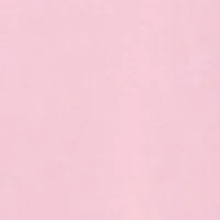 Gingham Whale Logo Graphic T-Shirt