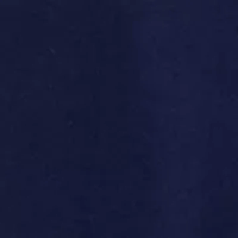 Santa's List Whale Long Sleeve Pocket Graphic T-Shirt