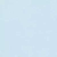 Ski Mountain Scenic Whale Long-Sleeve Pocket T-Shirt