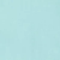 Men's Pup and Surf Van Short Sleeve Shirt