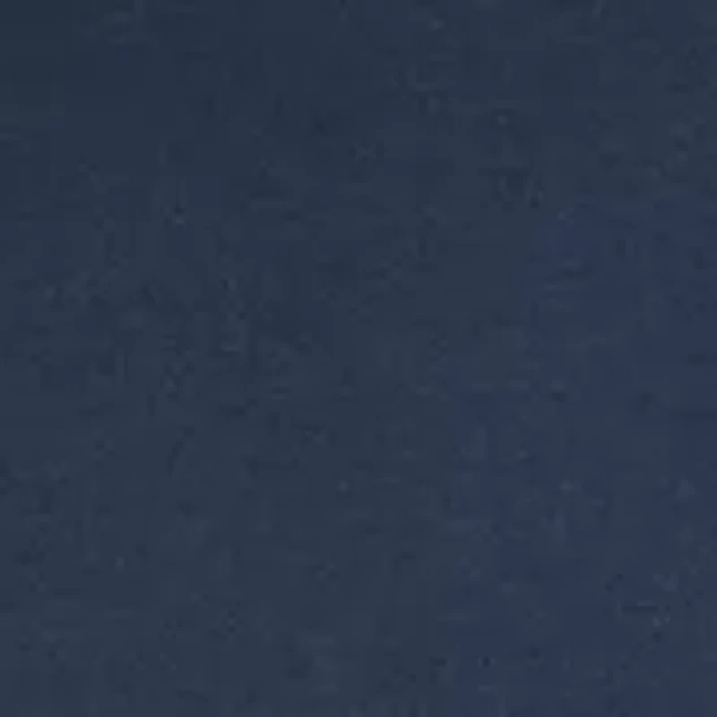 Men's Whale Graphic T-Shirt