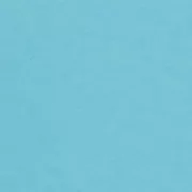 Men's Forita Palms Whale Graphic T-Shirt